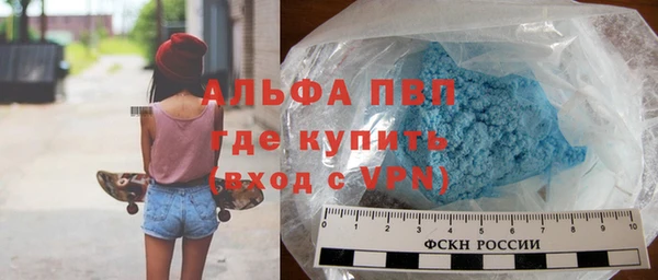 амф Горняк
