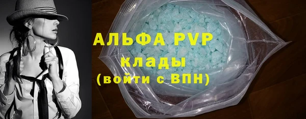 амф Горняк