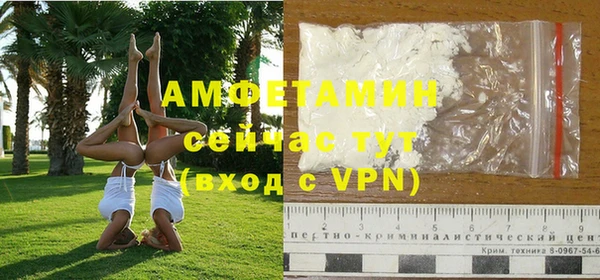 амф Горняк