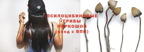 дживик Горно-Алтайск