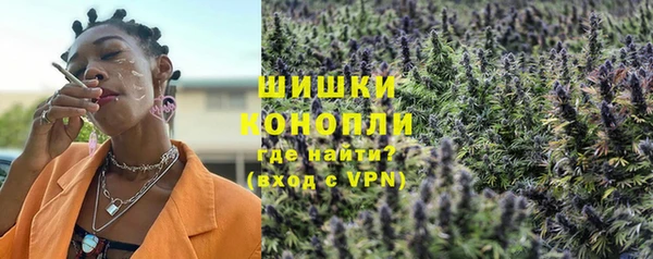 амф Горняк