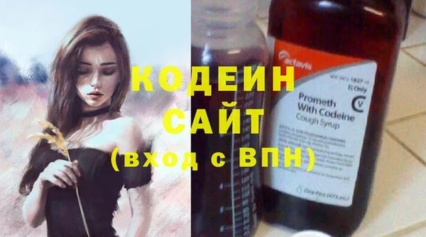 амф Горняк