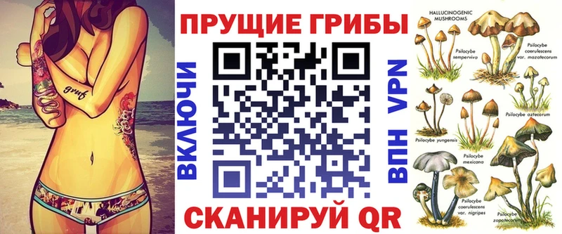 Купить  Остров  Псилоцибиновые грибы мицелий 
